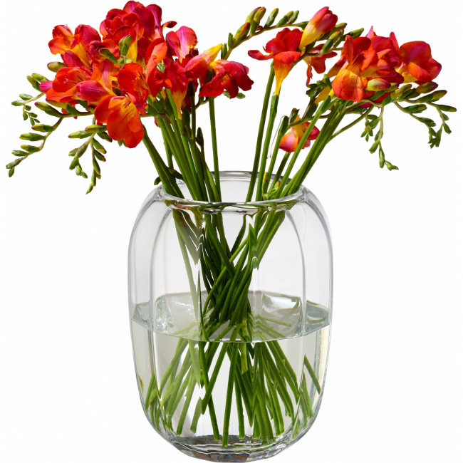 Coloured DeLight Clear Vase 23cm - 1