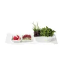 NewWave Appetizer Platter 42x15cm - 4