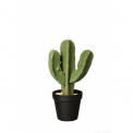 Ozdoba kaktus 32x12,5cm wilczomlecz - 1