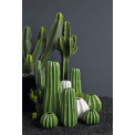 Cactus Ornament 32x12.5cm Euphorbia - 3