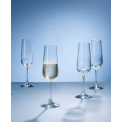 Set of 4 Ovid 250ml Champagne Glasses - 5