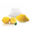 Lemon Squeezer - 1