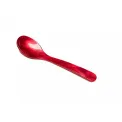 Egg Spoon Coral
