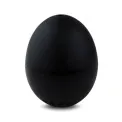Śpiewające jajko BeepEgg black - 5