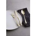 Taste PVD 24-Piece Cutlery Set (for 6 people) Champagne - 6