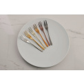 Set of 6 Taste PVD Copper Forks - 4