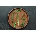 Wood Plate 30cm Acacia - 11