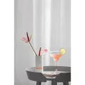 Set of 2 Purismo 340ml Margarita Glasses - 2