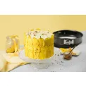 Classic 20cm Cake Pan - 5