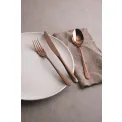 Zestaw sztućców Taste PVD 24 elementów (6 osób) Copper - 4