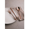 Taste PVD Cutlery Set 24 Pieces (6 People) Copper - 2