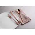 Taste PVD Cutlery Set 24 Pieces (6 People) Copper - 3