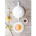 Pitcher a'Table 1.6l for tea - 2