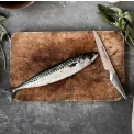 Set of 4 Knives + Magnetic Strip - 2