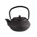 Asia 300ml Cast Iron Teapot - 1