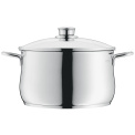 Diadem Plus 6L Pot 24cm