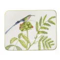 Saucer Amazonia 17x14cm for coffee cup
