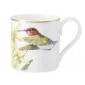 Espresso Cup Amazonia 80ml