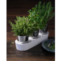 Self-Watering Herb Pot + Herb Scissors - 5