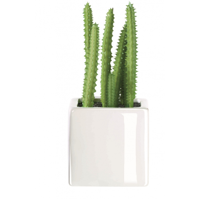 Cactus Ornament - 1