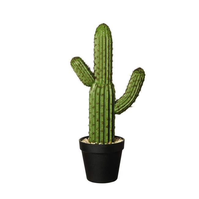 Cactus Ornament 41x12.5cm