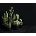 Ozdoba kaktus 41x12.5cm  - 2