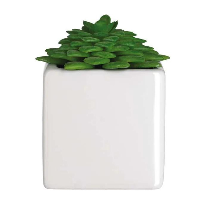 Succulent Ornament