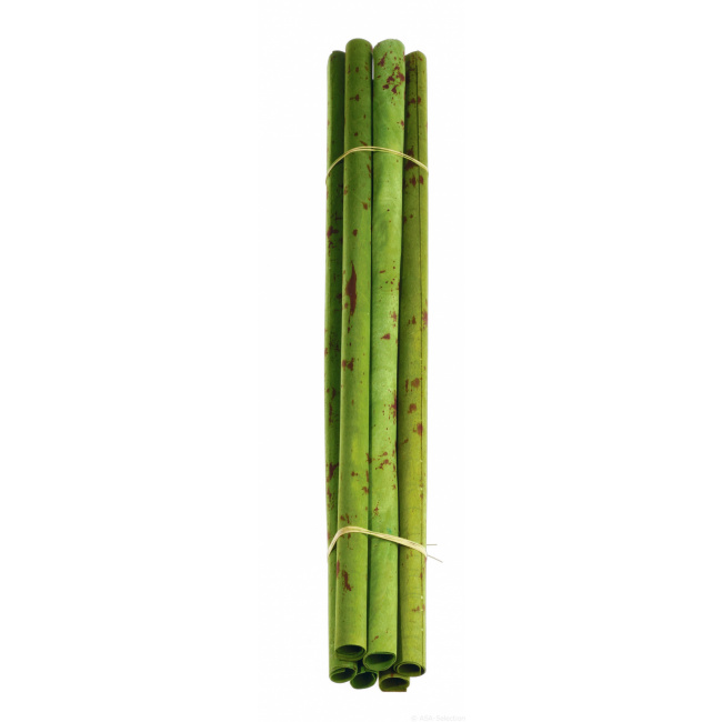 Ozdoba bambus 60cm  - 1