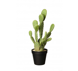 Ozdoba kaktus 41x12,5cm 