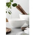 Bowl Artesano Original 24cm - 12