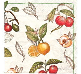 Serwetki 33x33cm Cascara 20szt.