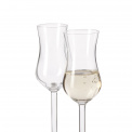 Daily Glass 80ml for Grappa - 2