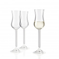 Daily Glass 80ml for Grappa - 3