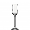 Daily Glass 80ml for Grappa - 1