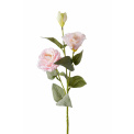Kwiat eustoma różowa 65cm - 1