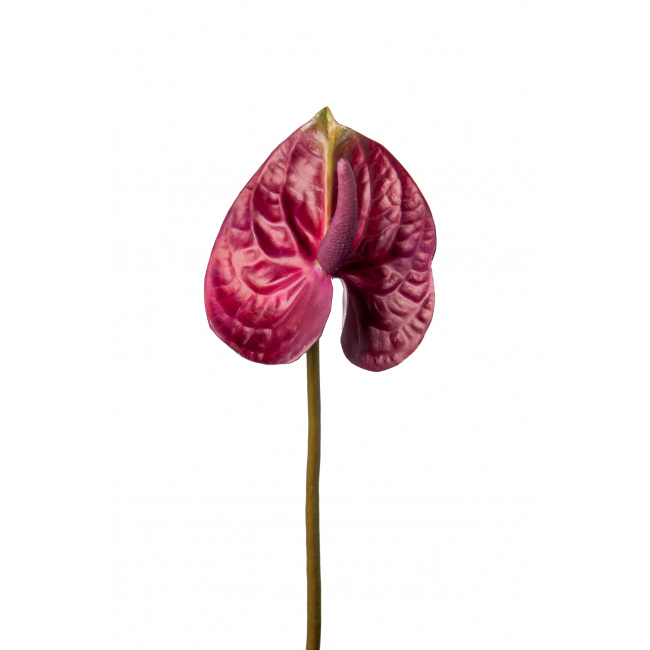Kwiat anthurium różowy 25cm