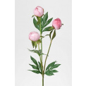 Kwiat piwonia różowa 40cm - 1
