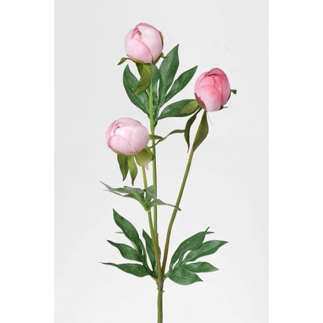 Pink Peony Flower 40cm - 1