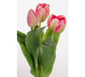 Kwiat tulipan różowy 36cm (1 sztuka mix)