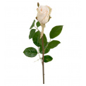 Róża 50cm biała - 1