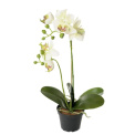 White Orchid Flower 45cm