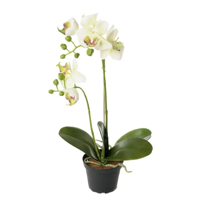 White Orchid Flower 45cm
