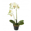 White Orchid Flower 45cm - 1
