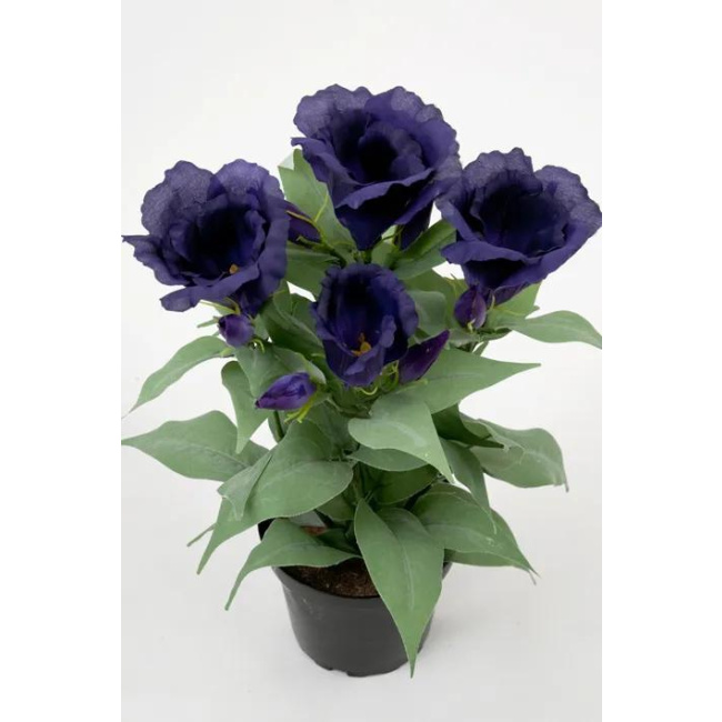 Blue Eustoma Flower Pot 30cm