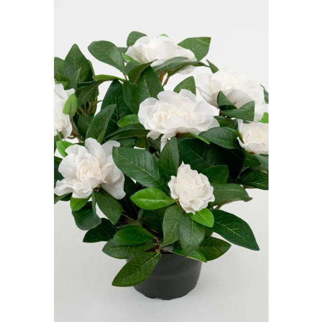 White Gardenia Flower 25cm