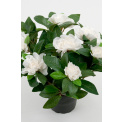 White Gardenia Flower 25cm - 1