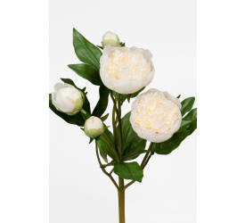 Kwiat peonia biała 40cm