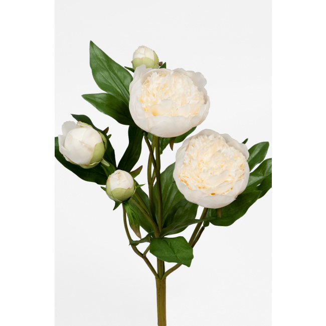 Kwiat peonia biała 40cm