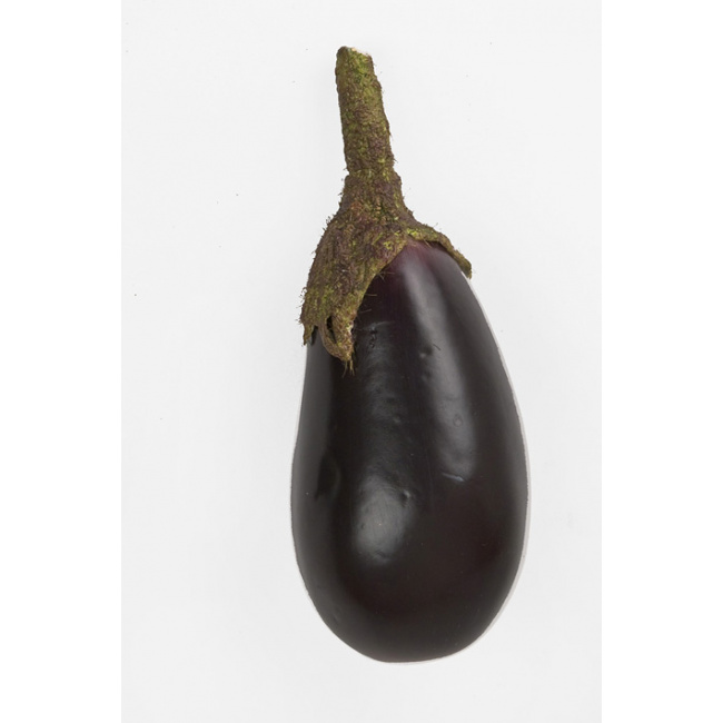 Eggplant 19x7.5cm - 1