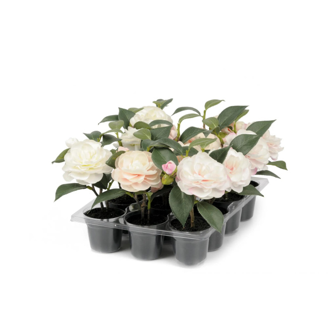 Potted Camellia Flower 17cm